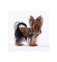 Pawstar Kedi ve KÜÇÜK Köpek T-Shirt Flower M Sırt28cm Göğüs41cm Boyun26cm