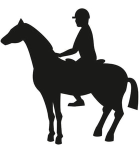 BİNİCİ FOLYO STİCKER 100cm Uzunluk (Karışık)