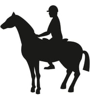 BİNİCİ FOLYO STİCKER 100cm Uzunluk (Karışık)