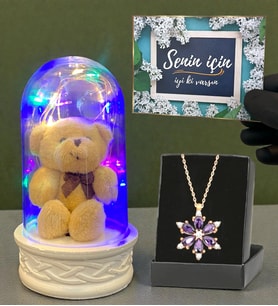 Renkli Led Işıklı Fanus ve Gerçek Ametist Taşlı Lotus Kolye Hediye Seti (Model 2)