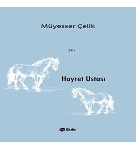 Hayret Ustası