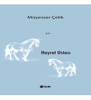 Hayret Ustası