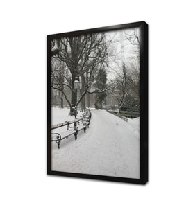 Karlar Altında Kalmış Park Çerçeveli Cam Tablo