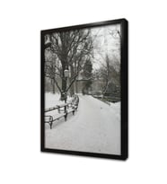 Karlar Altında Kalmış Park Çerçeveli Cam Tablo