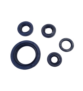 Bajaj Pulsar Ns 200 Keçe Seti 5 Li İth