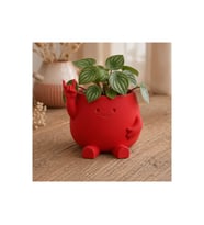 Alvera Smiley Face Planter – 3D Baskı Gülümseyen Karakterli Saksı-Kırmızı