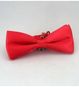 Mercan Çocuk Boy Düz Renk Saten Papyon - CP-11 (Renksiz)