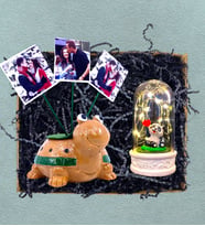 Kişiye Özel 3 Fotoğraflı Kaplumbağa Saksı & Led Işıklı Pandalı Fanus