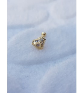 Tragus Küpe Piercing Çelik