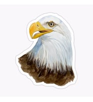 Araba için Kartal Oto Sticker Yapıştırması Etiket  17CM a6