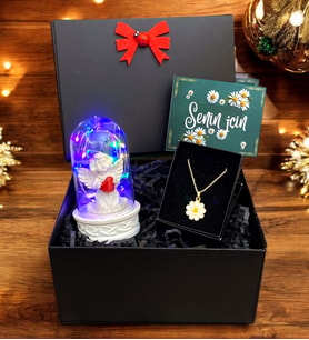 Siyah Kutusunda Renkli Led Işıklı Fanus ve Tasarım Kolye, Premium Hediye Seti (Model 1)