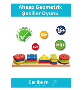 Özel Üretim Zeka Geliştirici Eğitici Kişisel Gelişim Çocuk Ahşap Geometrik Şekiller Oyunu