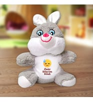 Özür Dilerim Tasarımlı İsme Özel Pelüş Tavşan (Beyaz)