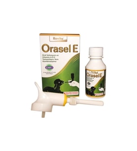 Orasel E 100 Cc