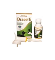 Orasel E 100 Cc