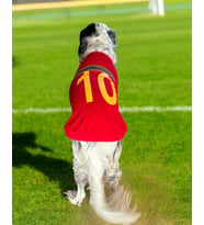Uno Red Büyük Irk Köpekler İçin Tişört (Kırmızı)