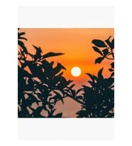 Çerçeveli Gün Batımı Tablo Ahşap Poster Dekoratif