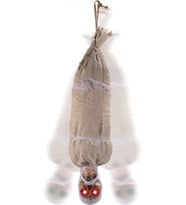 Halloween Sensörlü Işıklı Hareketli Mumya 25x75 cm