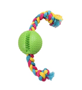 Eastland İpli Plastik Rugby Topu 6,5 Cm