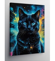 Kanvas Tablo Siyah Kedi Renkli Fon