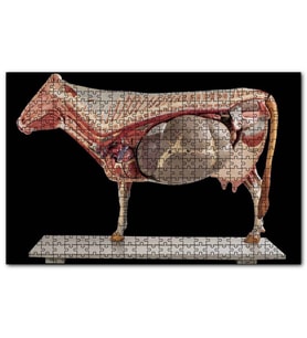 Cakapuzzle İneğin İç Organlarının Görseli Puzzle Yapboz MDF (Ahşap) (120 Parça)