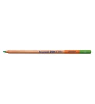 Bruynzeel Design Colour Kuru Boya Kalemi 60 Light Green 