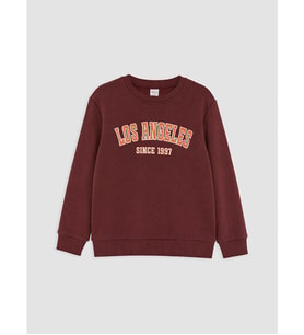 LCW Kids Kahverengi Baskılı Kalın Erkek Çocuk Sweatshirt
