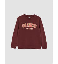 LCW Kids Kahverengi Baskılı Kalın Erkek Çocuk Sweatshirt