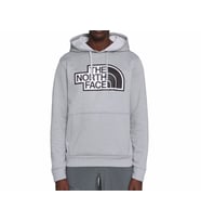 The North Face M Explr Po Hdie Erkek Outdoor Sweatshirts NF0A5G9SGAU1 Gri