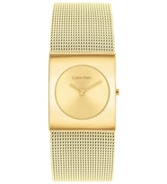 CALVIN KLEIN CK25100062