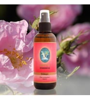 Nuka Gül Suyu 100 Ml/Sprey - Damıtma (Geleneksel - Türkiye)