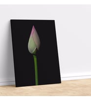 Açılmamış Lotus Çiçeği Temalı Dekoratif Kanvas Tablo