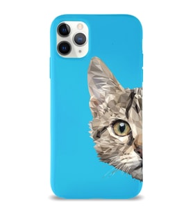 Apple iPhone 11 Pro Uyumlu Lansman Kılıf Catface Tasarımlı Altı Kapalı İçi Kadife Kaplı  Kapak (Şeffaf)