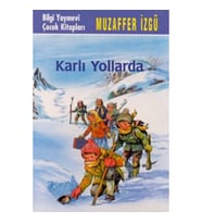 Karlı Yollarda