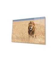 Aslan Cam Tablo 4mm Dayanıklı Temperli Cam (Çok Renkli)