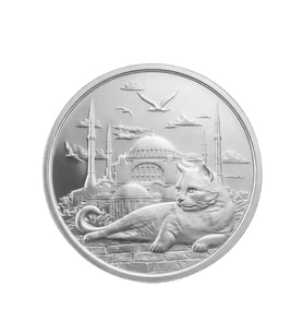 AgaKulche İstanbul Kedisi Gümüş Sikke Coin
