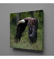 KARTAL KANVAS TABLO 140x140cm