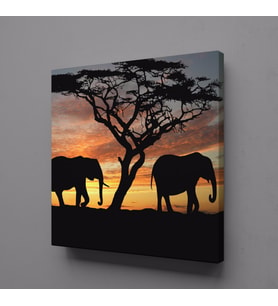 FİLLER KANVAS TABLO 25x25cm (Karışık)
