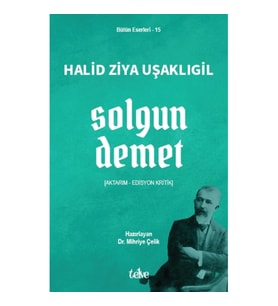 Solgun Demet
