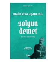 Solgun Demet