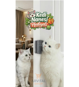 Duvara Yapışan Kedi Kaşıma Aleti ve Kedi Nanesi Hediyesi