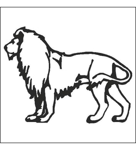 ASLAN FOLYO STİCKER 70cm Uzunluk