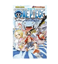 One Piece 29. Cilt Gerekli Şeyler
