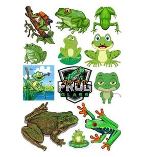Kurbağa Sticker Set-1 12 Parça Telefon, Tablet, Defter, Laptop Sticker