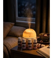 Hava Nemlendi̇ri̇ci̇