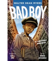 Bad Boy: A Graphic Memoir