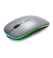 ZR215 Cba100 Rgb Füme Şarjlı Mouse