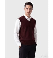 LCWAIKIKI Classic Bordo V Yaka Erkek Triko Süveter