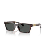 Versace 0VE4490U 108/87 55 Enjeksiyon Erkek Güneş Gözlüğü