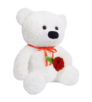 Pandamkee 40 cm Elinde Gül Tutan Ayıcık (Beyaz)